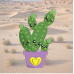 Cactus 06