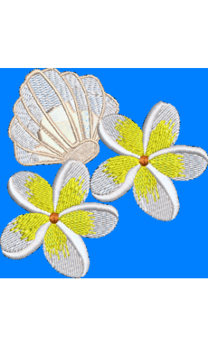 frangipani with sea shell