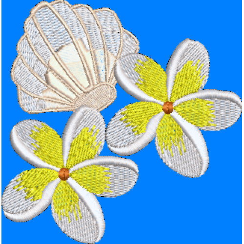 frangipani with sea shell